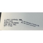 Andy Warhol VOLKSWAGEN Screenprint