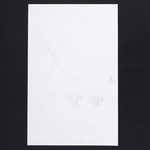 Andy Warhol VINE LEAF MARINADE Lithograph