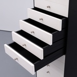 Rare Shiro Kuramata FURNITURE WITH DRAWERS VOL.2 NO.5 Chest of Drawers