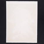 James Rosenquist WELCOME TO THE WATER PLANT Lithograph