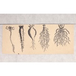 2 Robert Rauschenberg UNTITLED Mixed Media