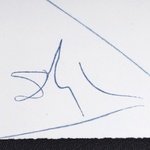 Salvador Dali ANTS, NAILS & FLIES ON NUDE Lithograph