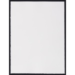 Salvador Dali ANTS, NAILS & FLIES ON NUDE Lithograph