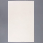 Joan Miro LE PECHEUR D'EPONGES Lithograph