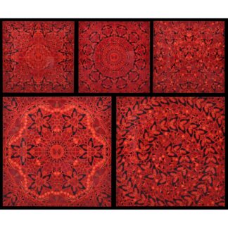 Damien Hirst THE EMPRESSES Suite of 5 Prints