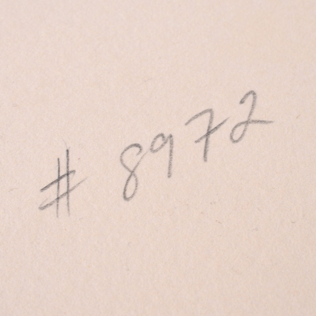 Howard Hodgkin RED EYE Lithograph - Image 3