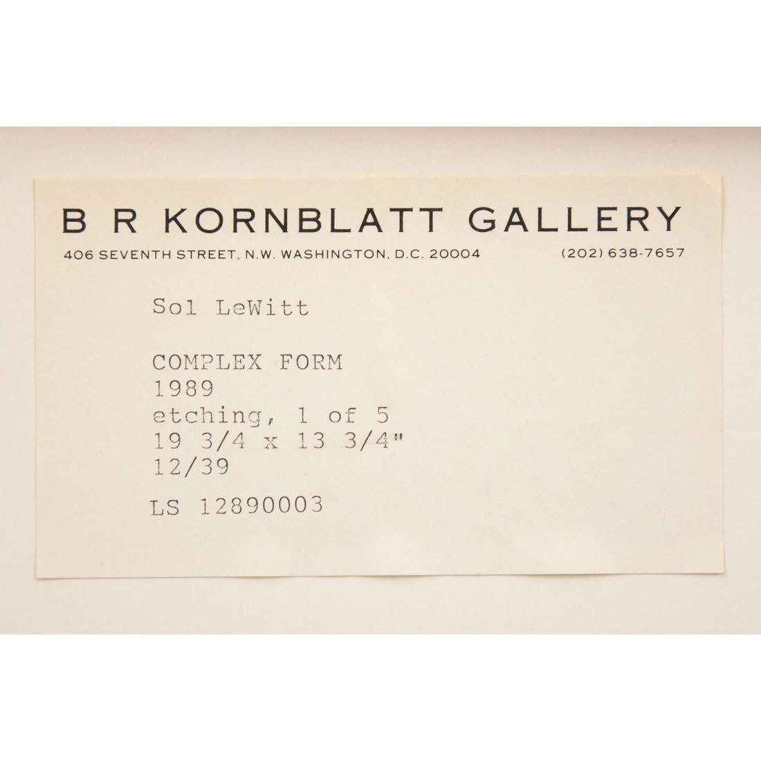 Sol Lewitt COMPLEX FORMS Etching - Image 6