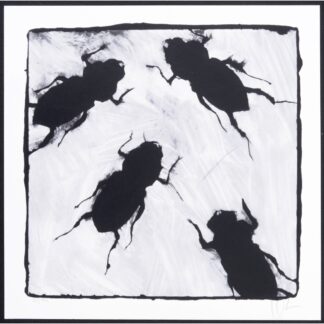 Donald Sultan UNTITLED Serigraph