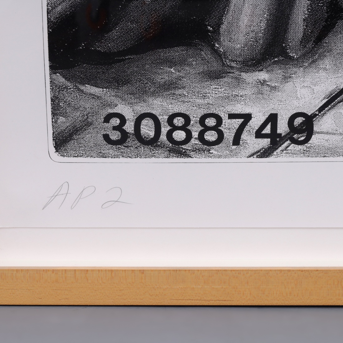 Jonathan Borofsky I DREAMED I COULD FLY NO. 3088749 Lithograph - Image 5