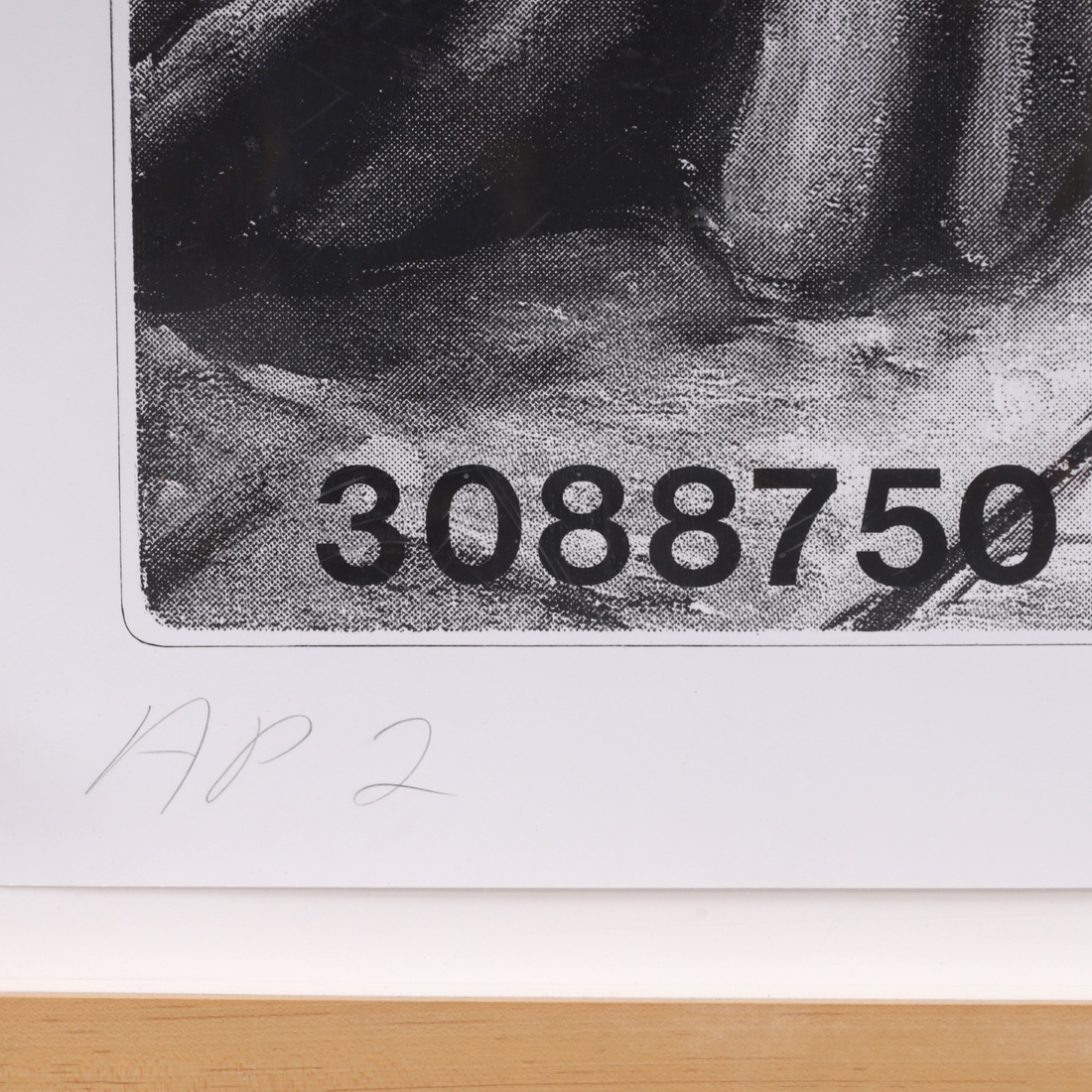 Jonathan Borofsky I DREAMED I COULD FLY NO. 3088750 Lithograph - Image 5