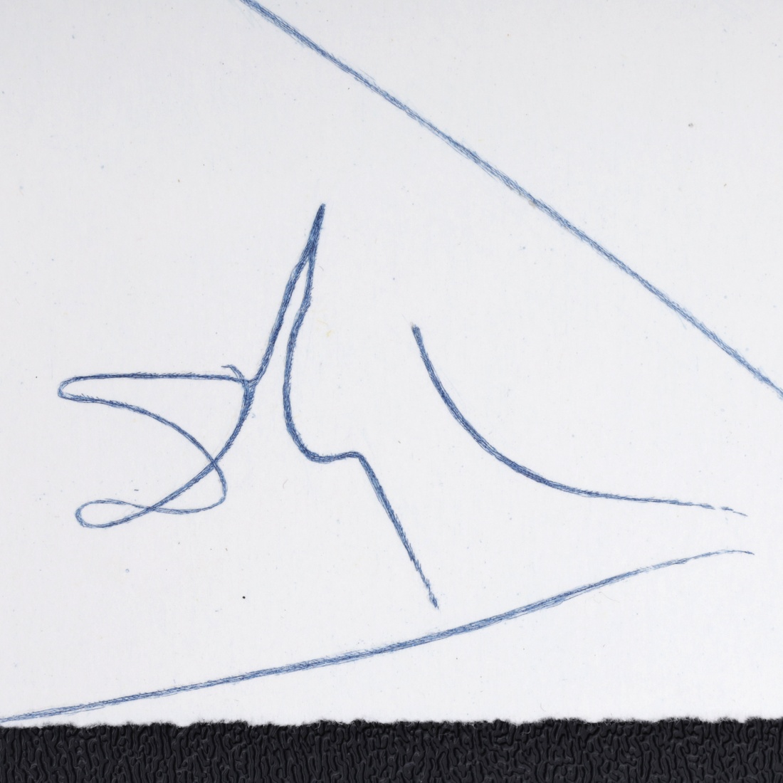 Salvador Dali ANTS, NAILS & FLIES ON NUDE Lithograph - Image 3