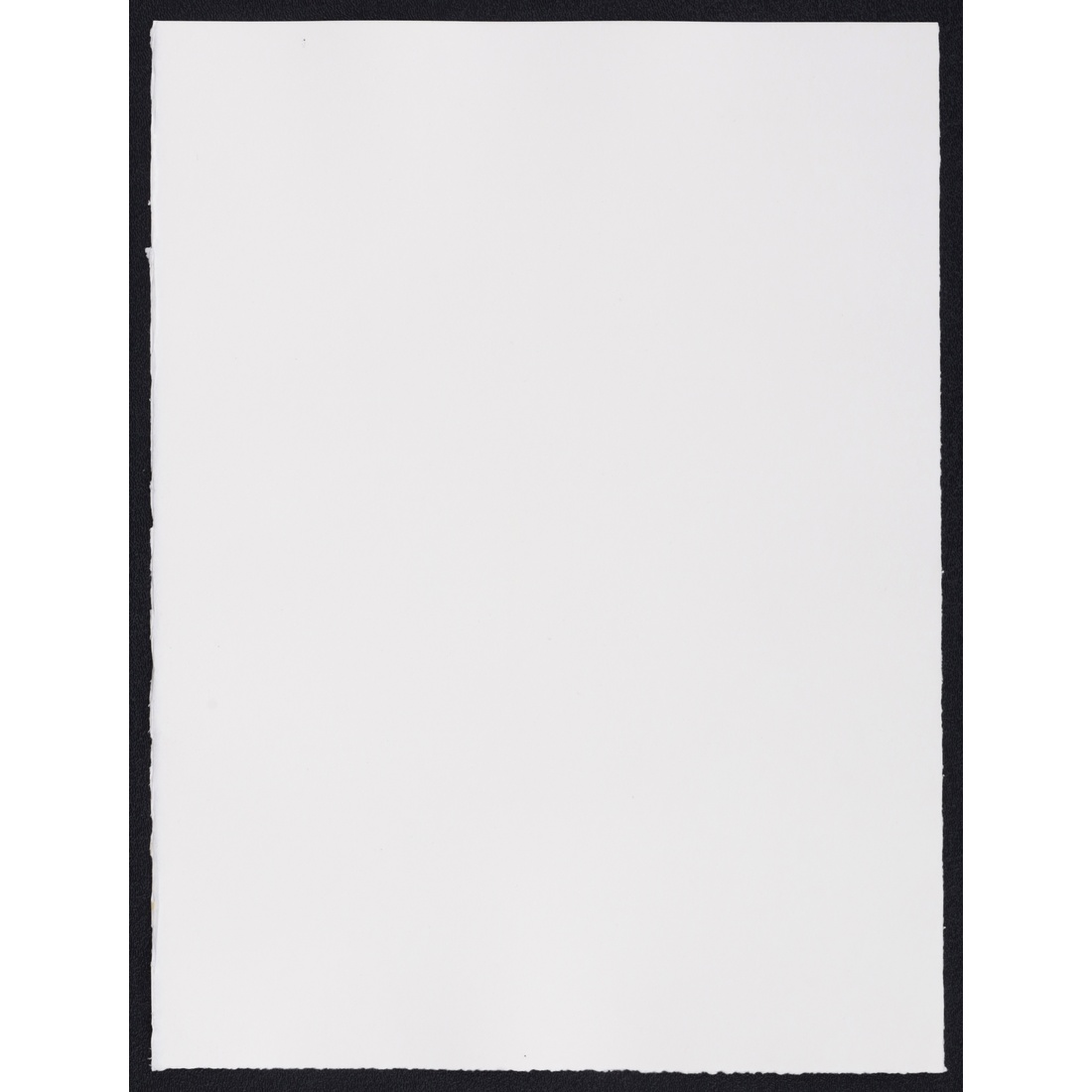 Salvador Dali ANTS, NAILS & FLIES ON NUDE Lithograph - Image 4