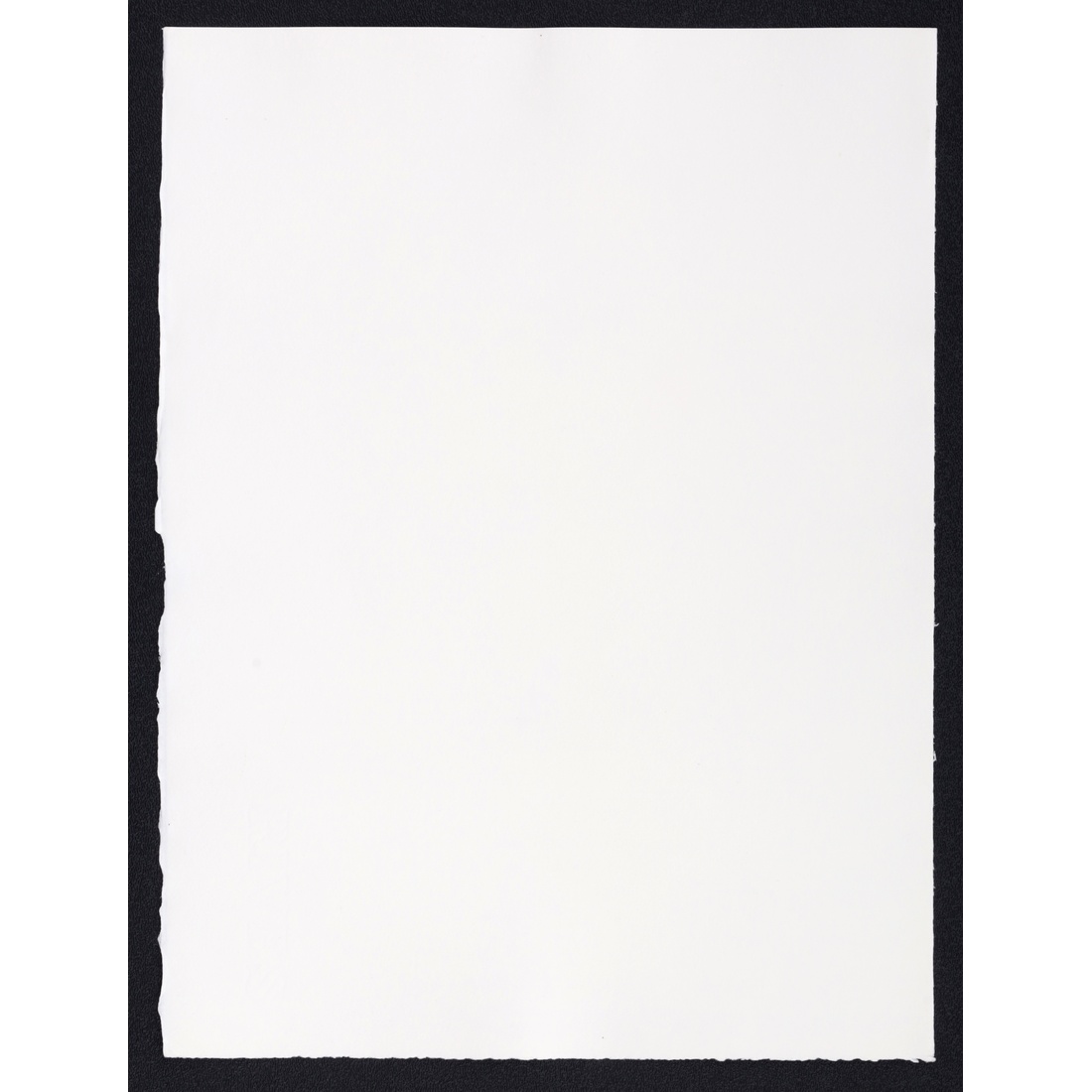 Salvador Dali FEMME SURREALISTE AU HOMARD Lithograph - Image 4